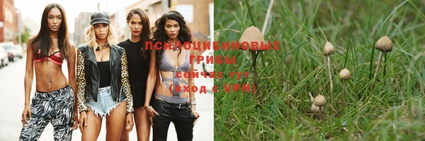 кристаллы Покачи